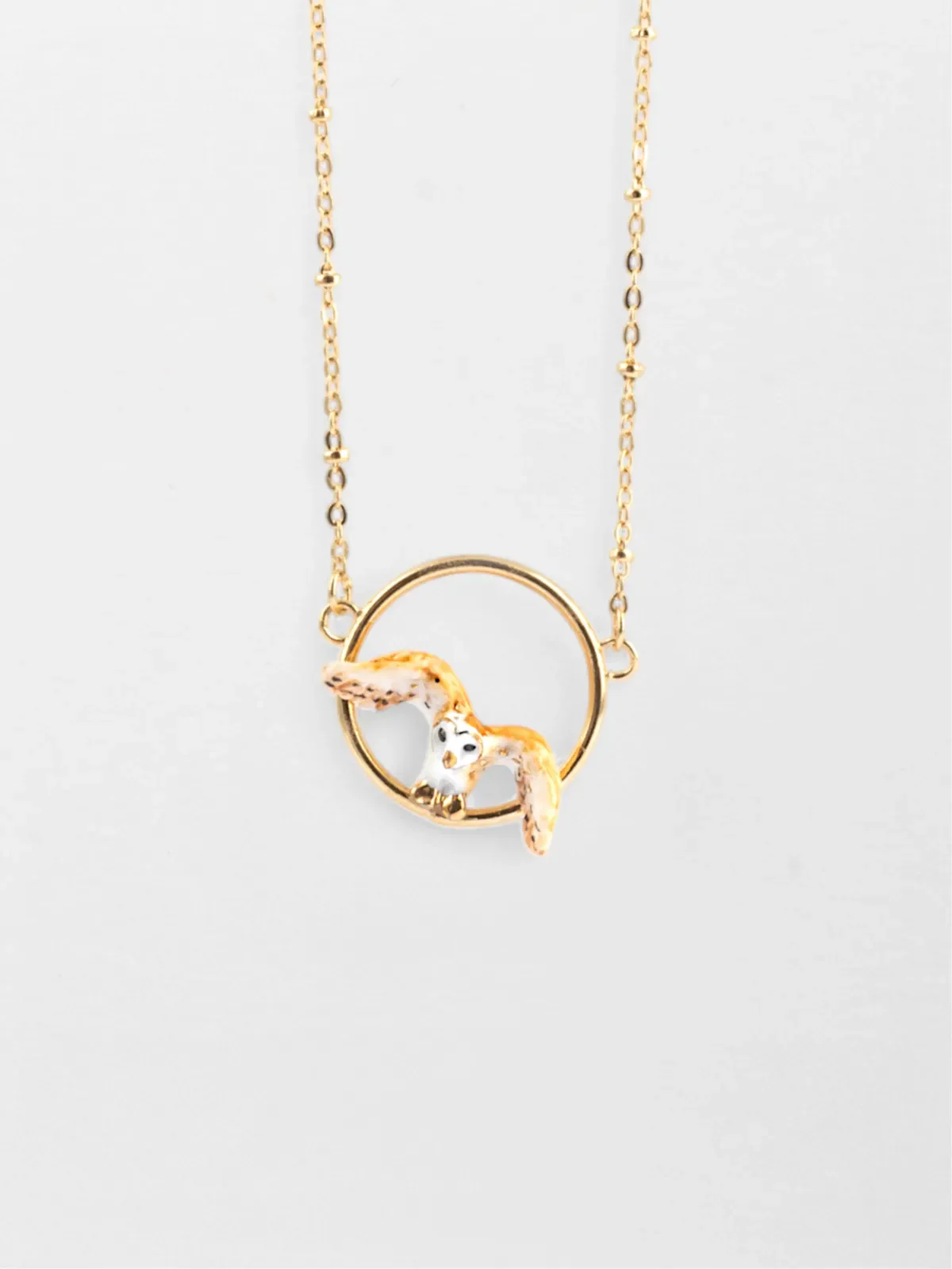 Collier chouette en vol