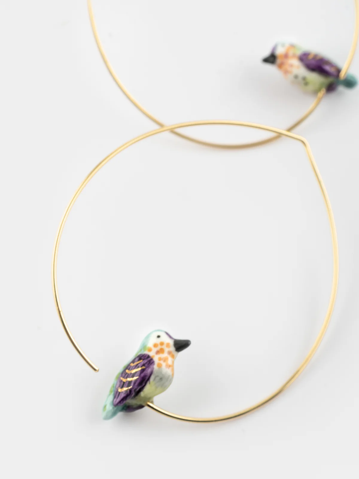 Moyennes créoles colibri d'Anna - Image 3