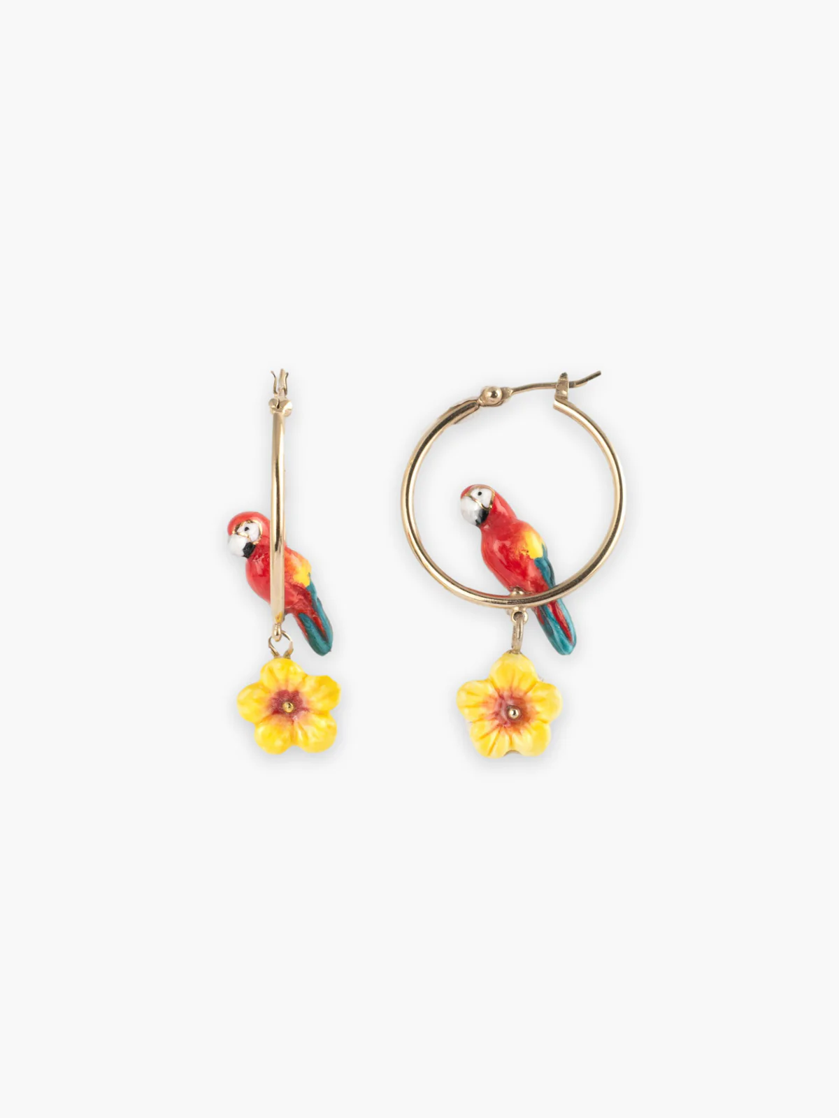 Créoles rondes perroquet ara et fleur