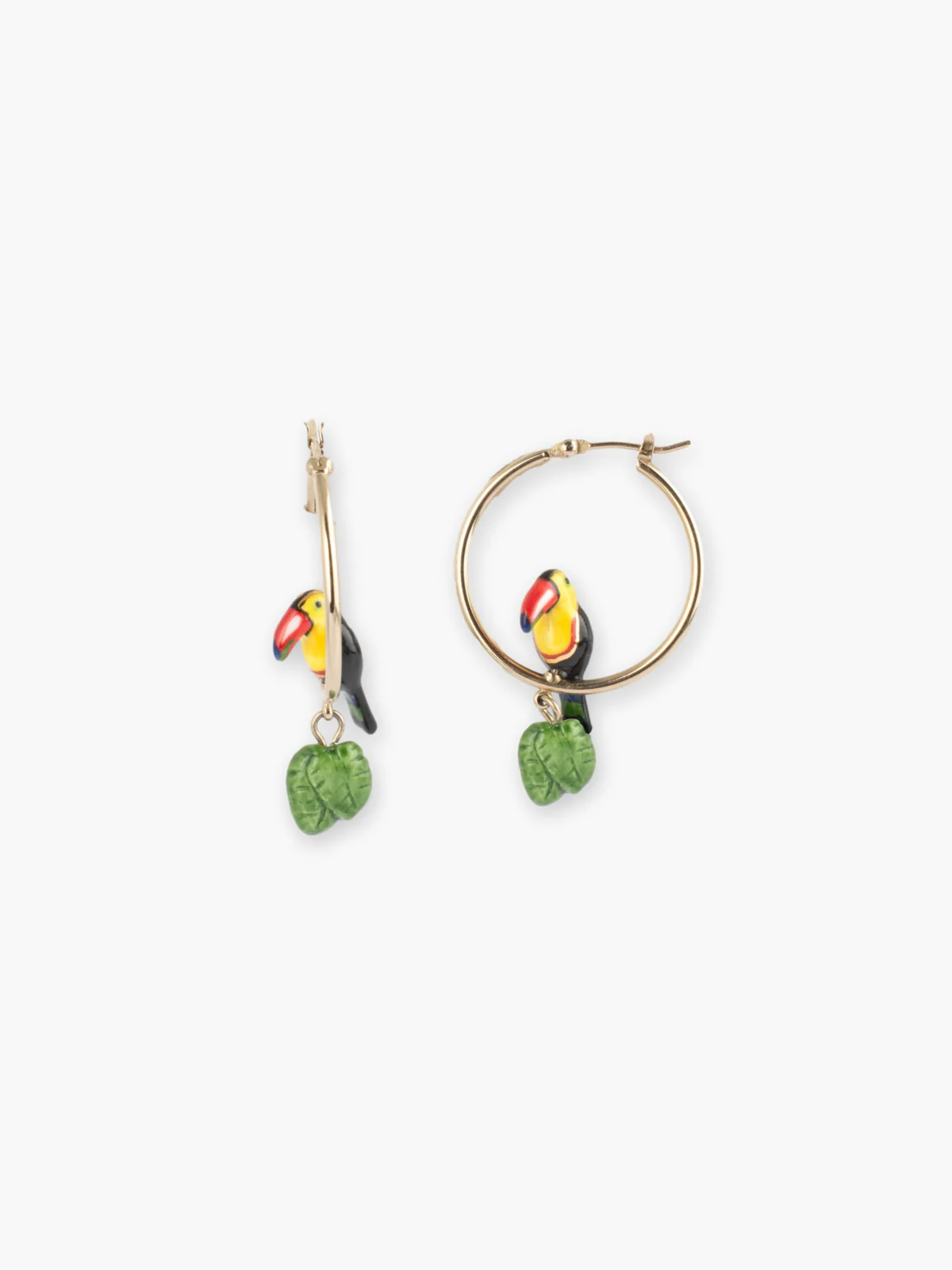 Créoles rondes toucan et feuilles
