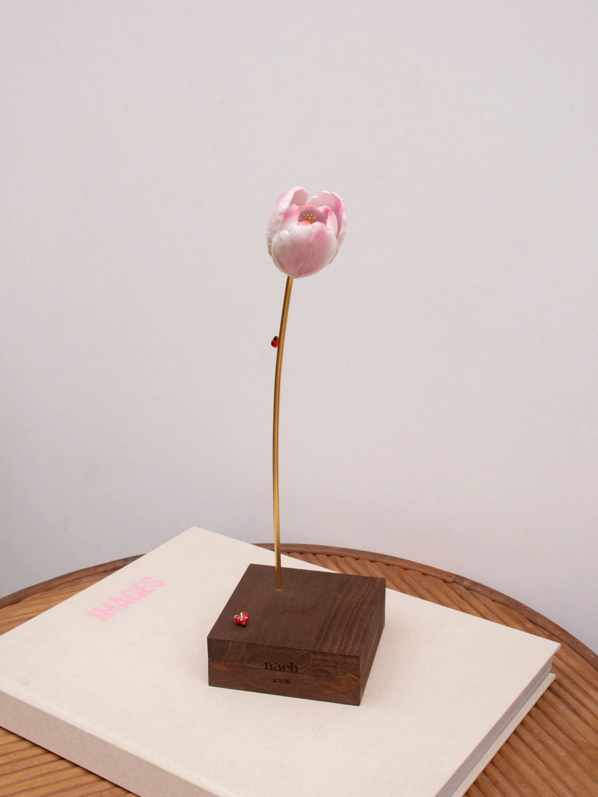 Tulipe éternelle rose - Image 2