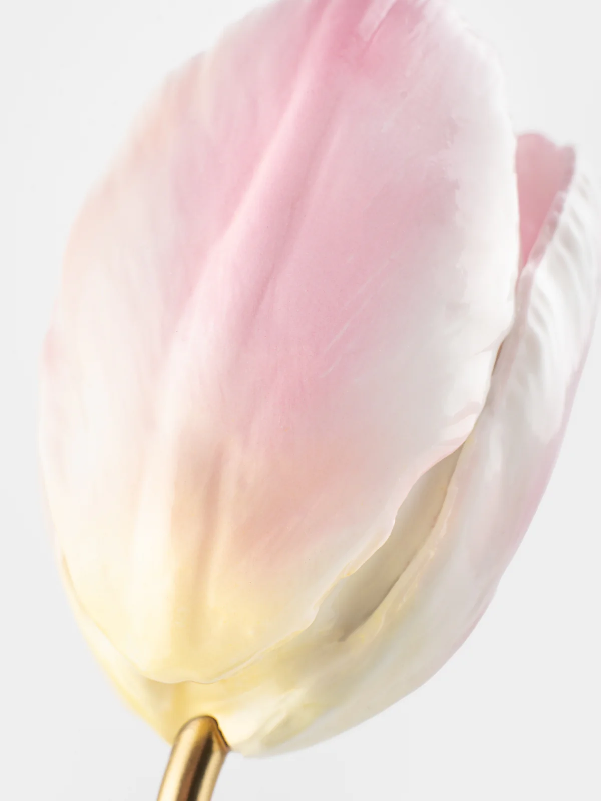Tulipe éternelle rose - Image 3