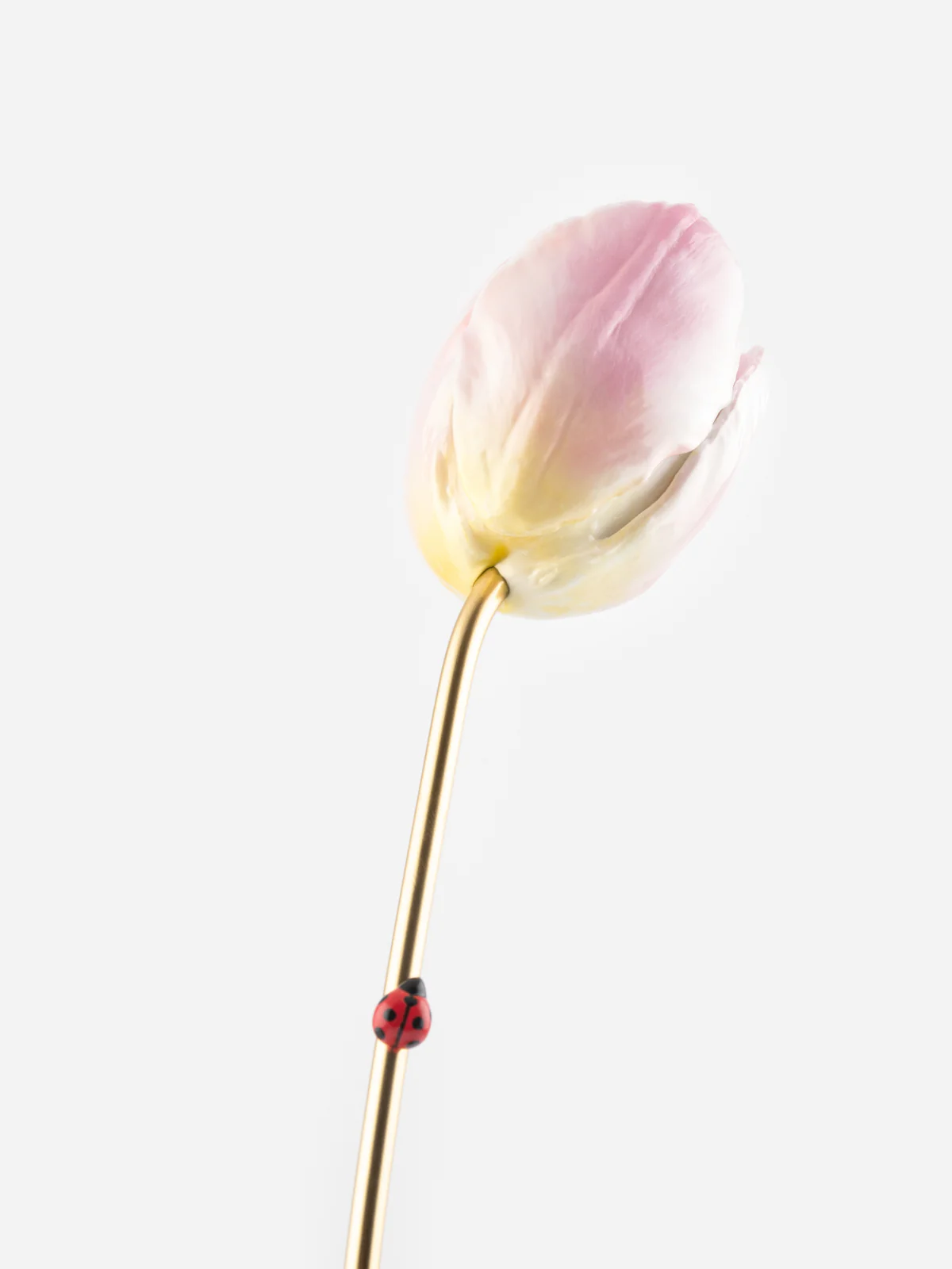 Tulipe éternelle rose - Image 5