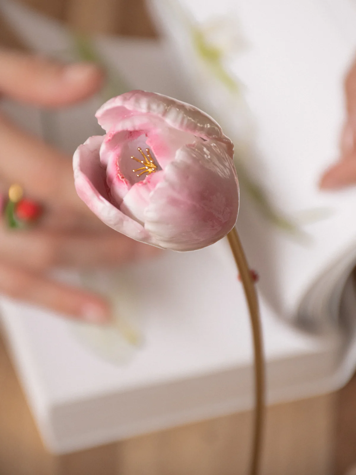 Tulipe éternelle rose - Image 7