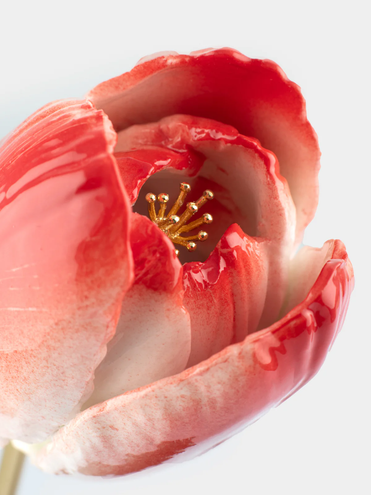 Tulipe éternelle rouge - Image 2