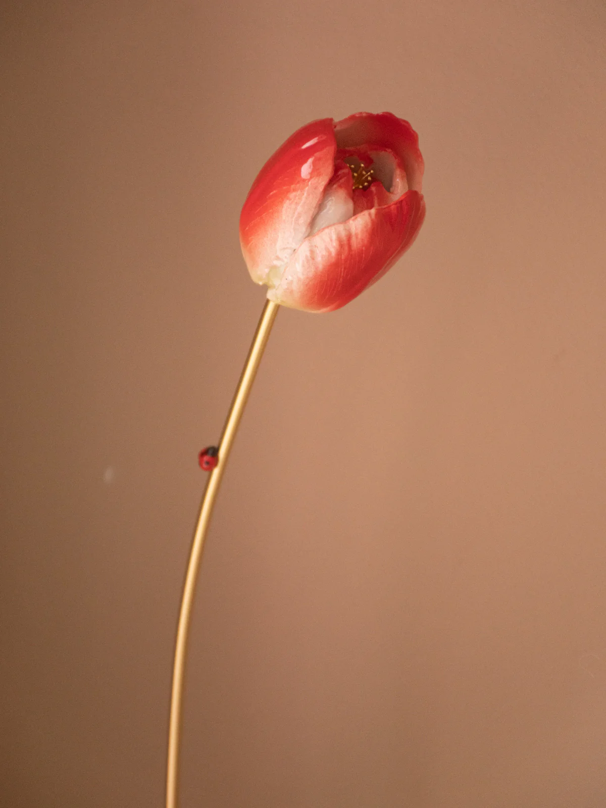 Tulipe éternelle rouge - Image 7
